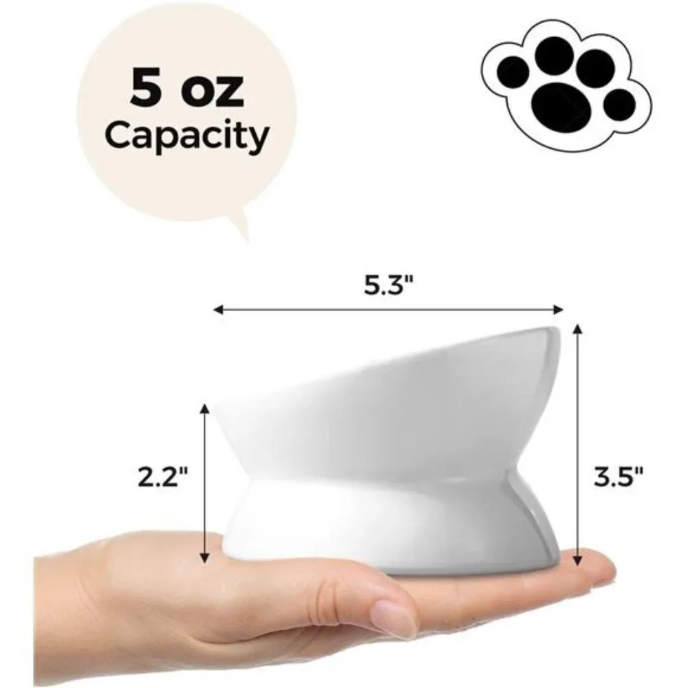 Elevated Cat Food Bowl, 5 Oz Ceramic Raised and Tilted Water Bowl, Anti Vomiting